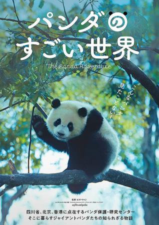 字幕】パンダのすごい世界 | 作品案内 | Oyama cinema Roble-小山